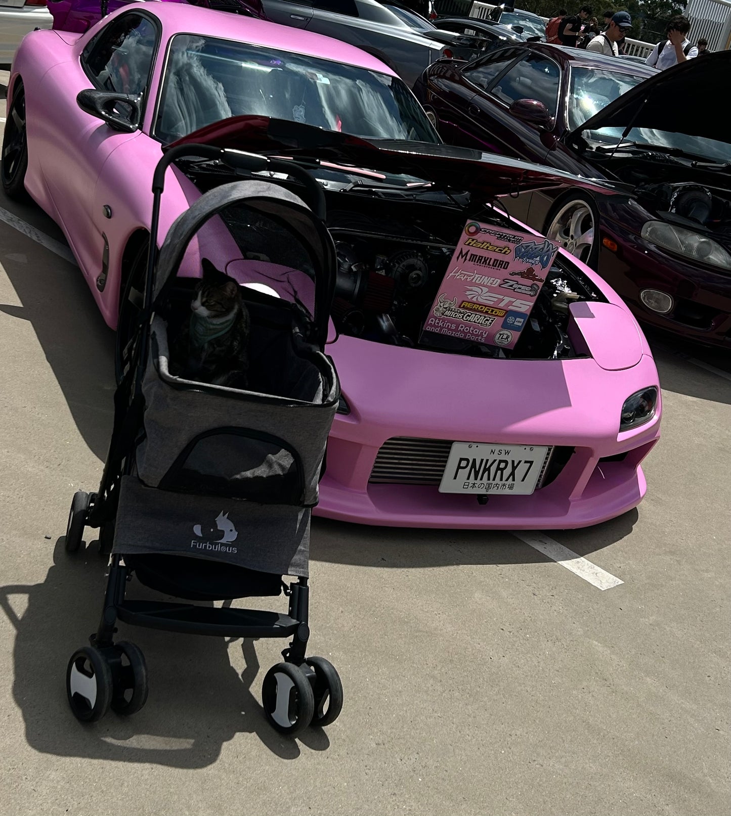 PET PRAM