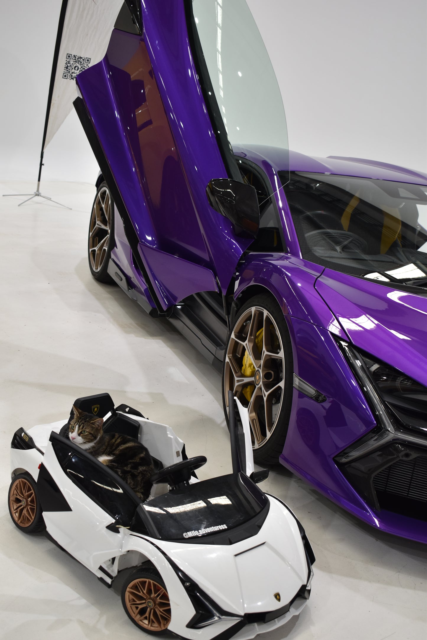 MILO's Remote Controlled Lamborghini Revuelto