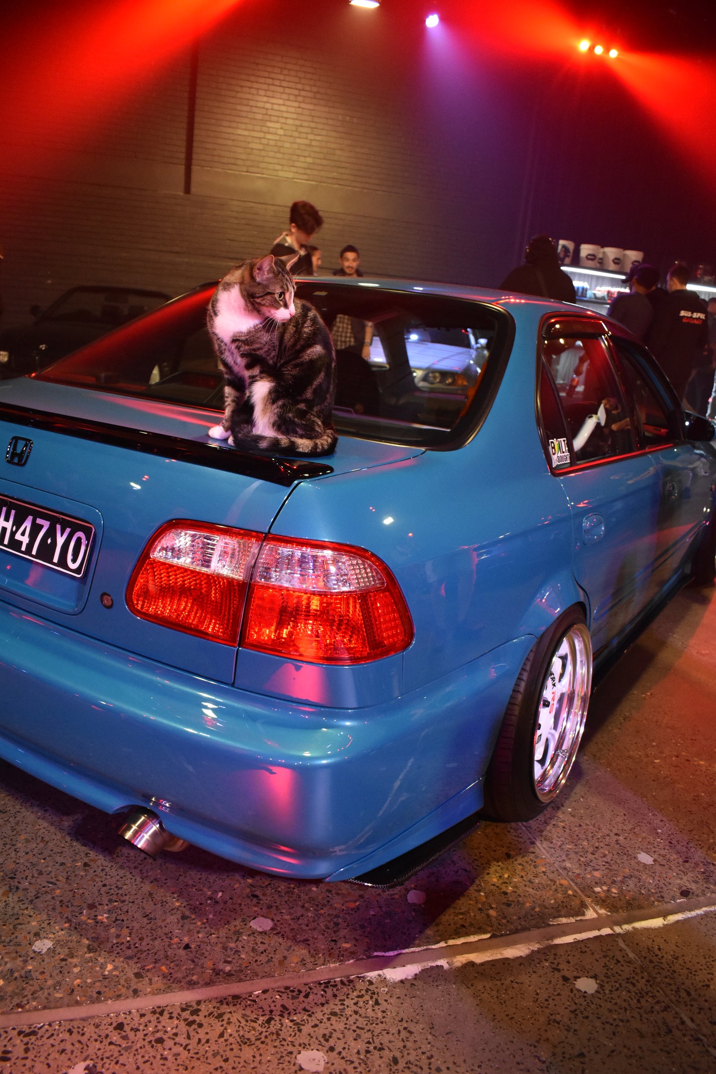 MiloAdPhotography Event Files