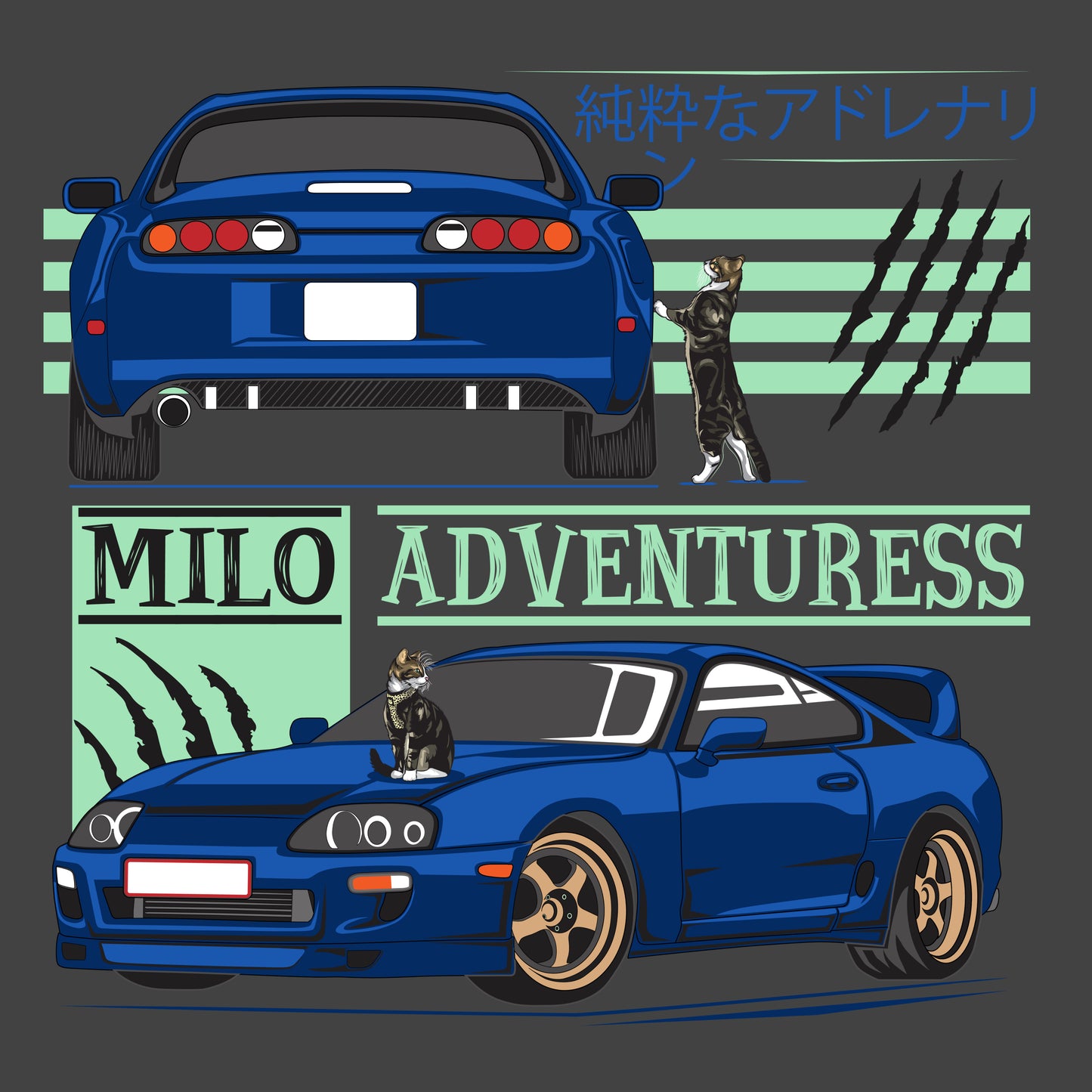Toyota Mk4 Supra - Hoodie