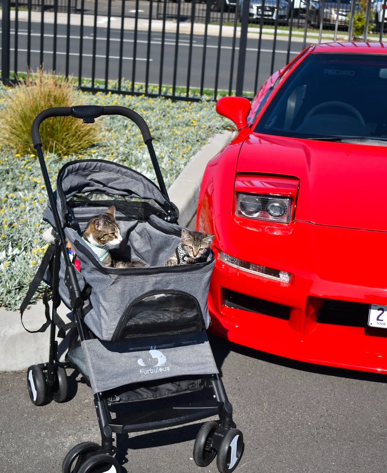 PET PRAM