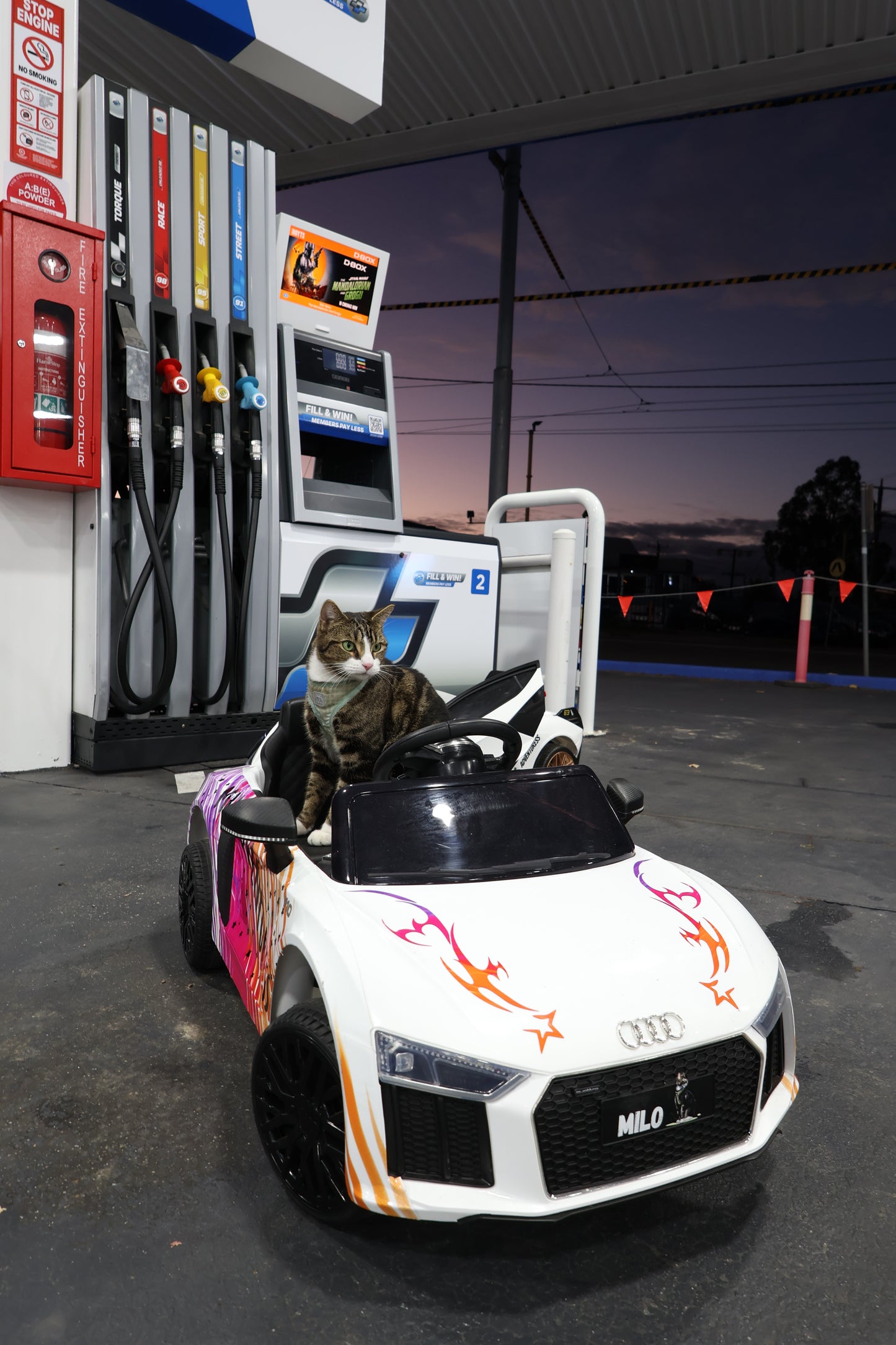 Ride On Audi R8