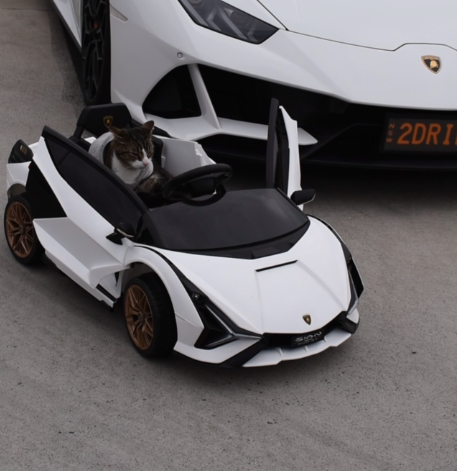 MILO's Remote Controlled Lamborghini Revuelto