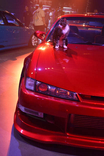 Private Photoshoot