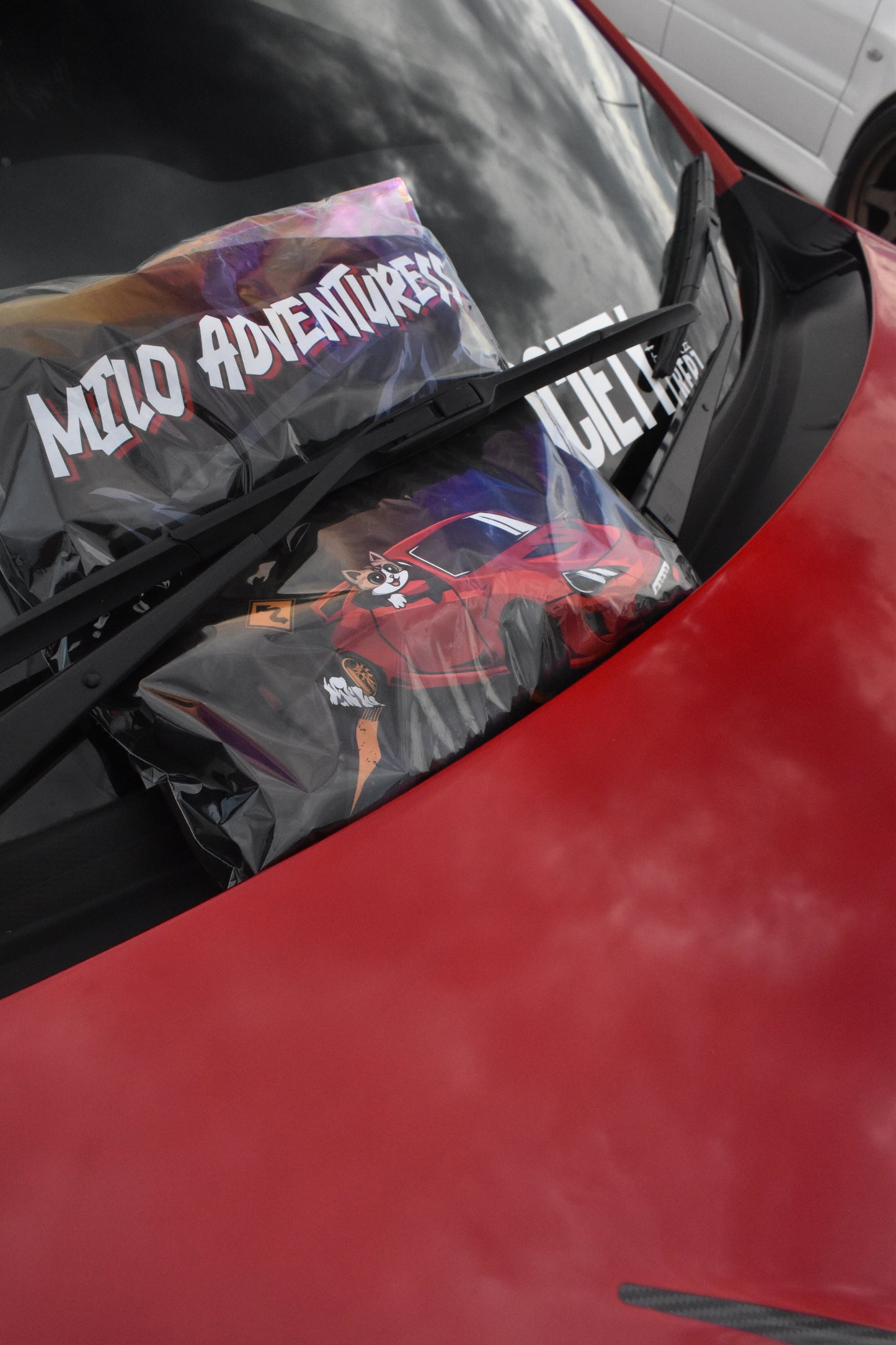 Toyota GT86 // Subaru BRZ