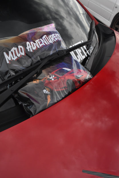 Toyota GT86 // Subaru BRZ