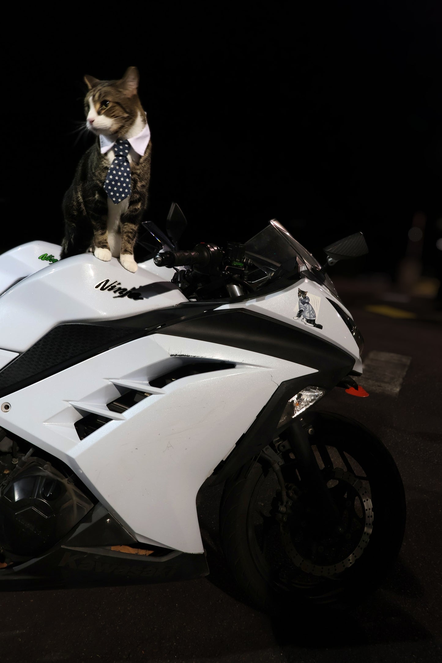 Milo Design 3