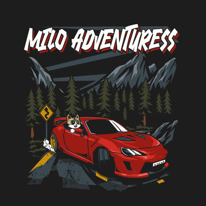 Toyota GT86 // Subaru BRZ