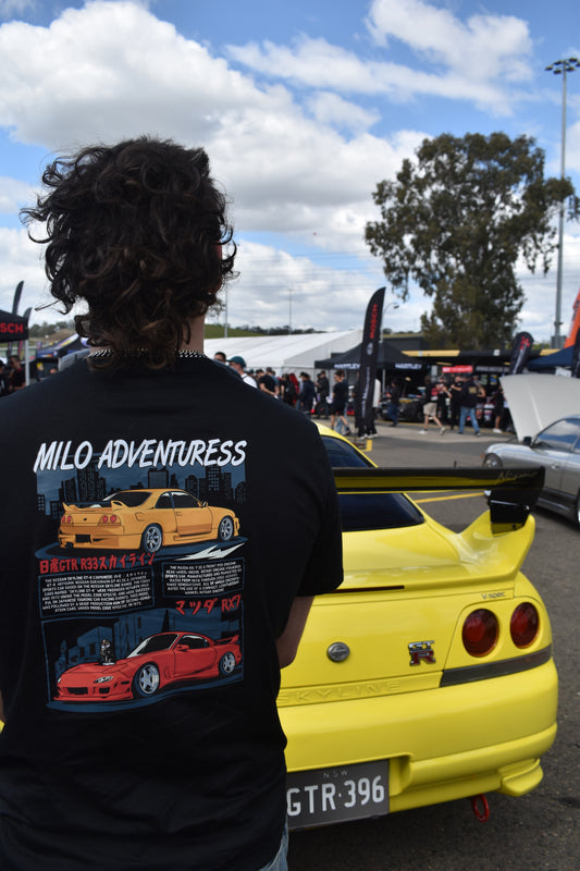 SKYLINE GTR33 x Rx7