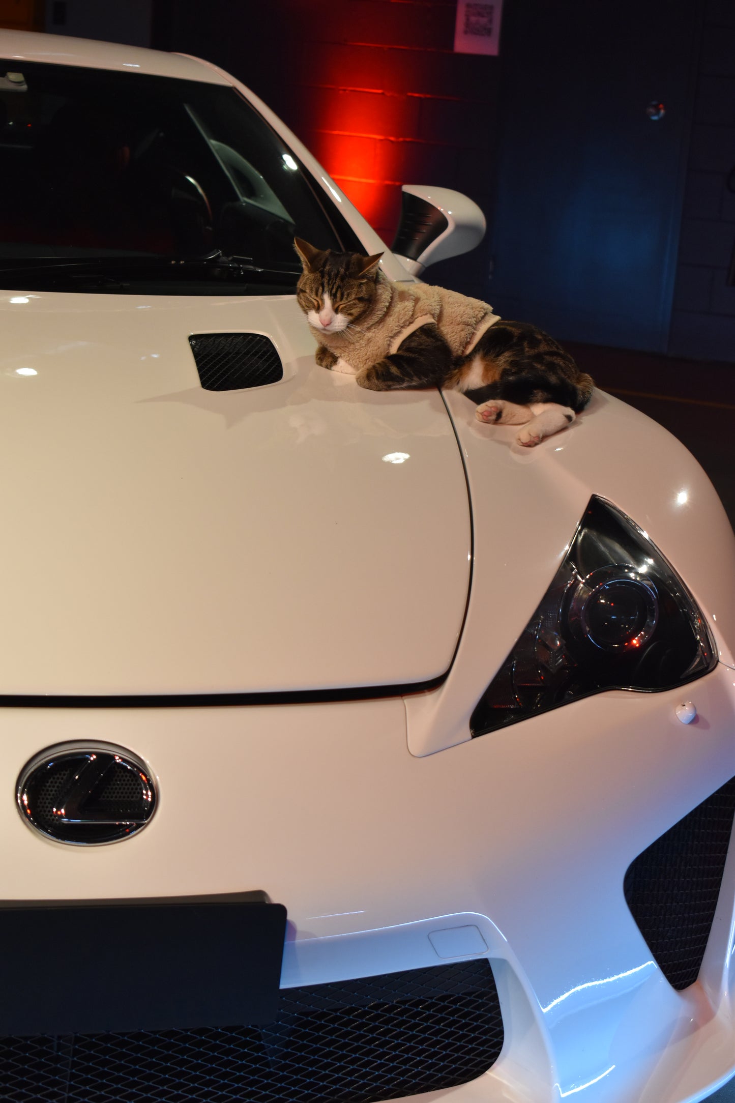 LEXUS LFA // Milo Merch