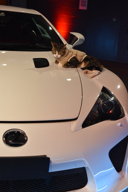 LEXUS LFA // Milo Merch