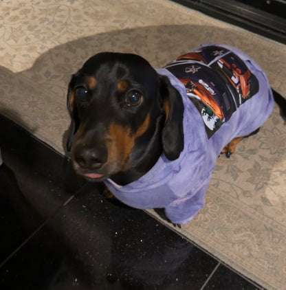 Milo Pet Hoodies!
