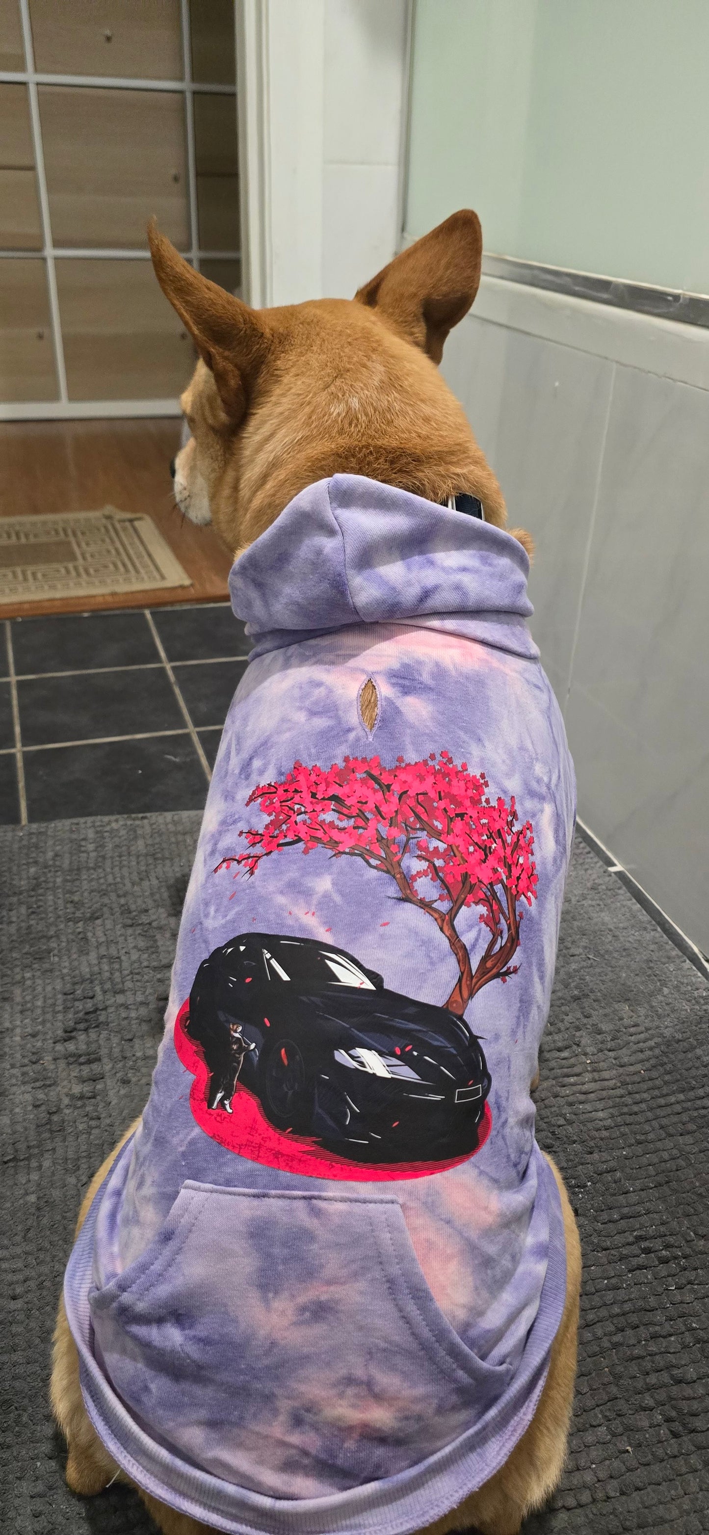 Milo Pet Hoodies!