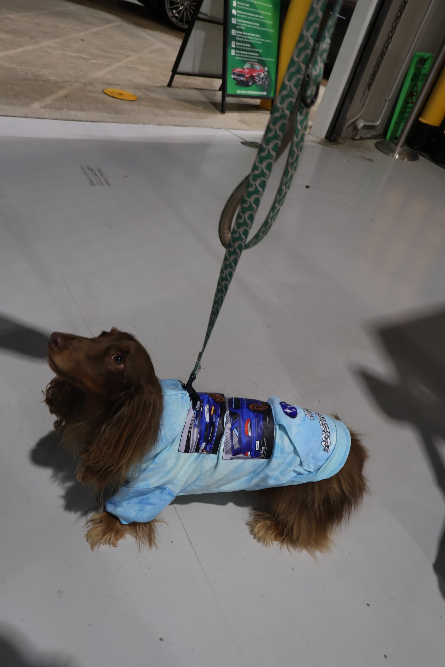 Milo Pet Hoodies!