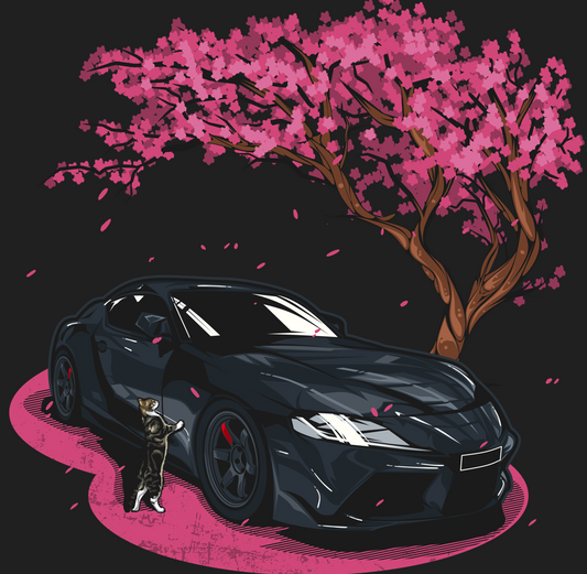 Toyota Mk5 Supra