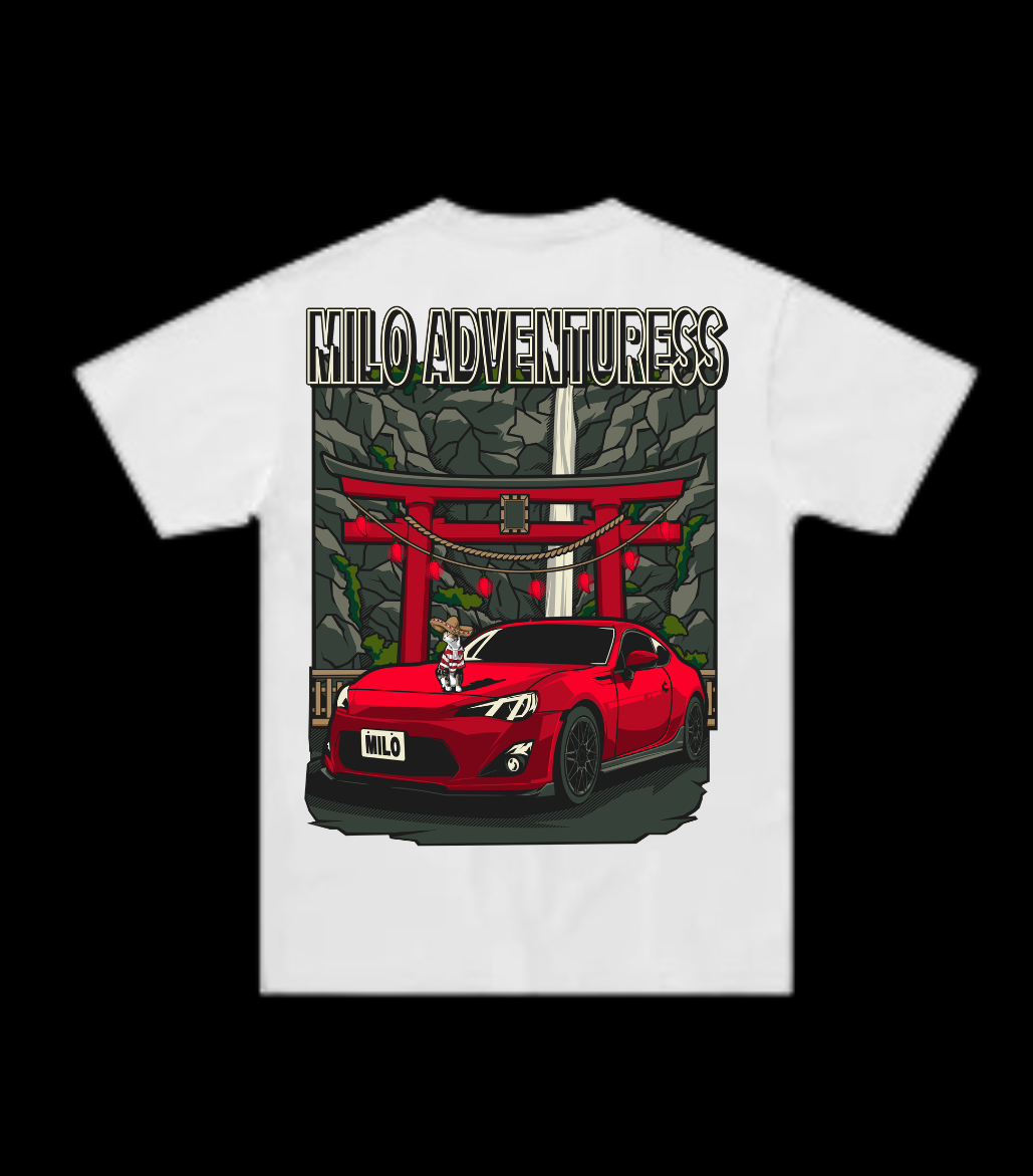 GT86 (BRZ) // Milo Merch